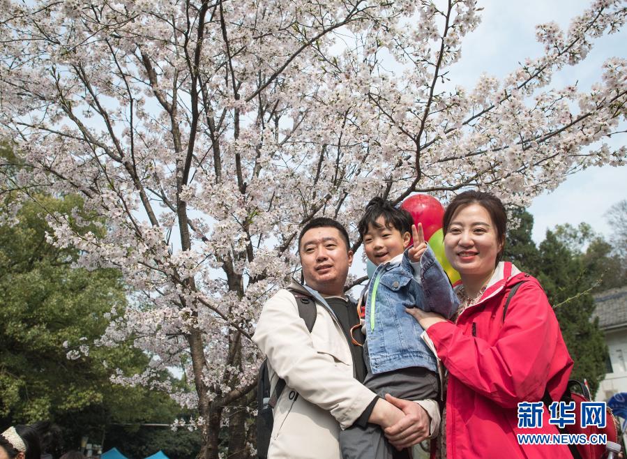 3月13日，辽宁援鄂医疗队丹东市中心医院护士李杰（右）与家人在武汉大学樱花树下合影。新华社记者 肖艺九 摄