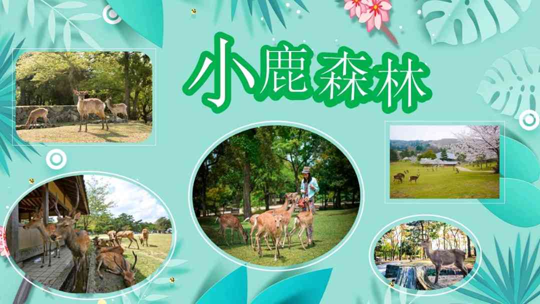 新密伏羲山:云上牧场升级 打造一站式“网红打卡地”