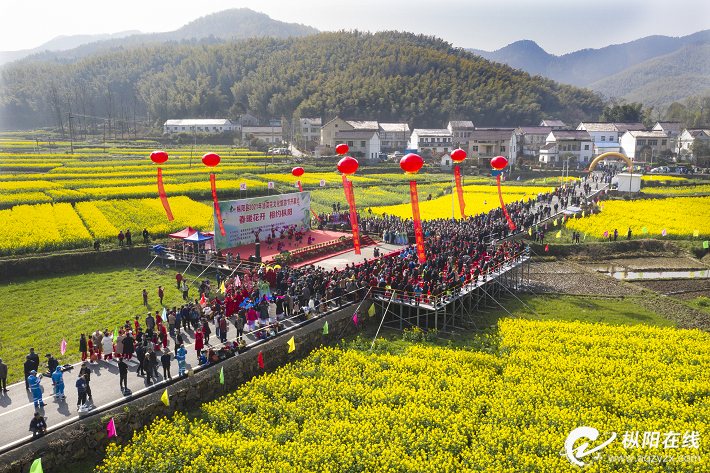 2021枞阳GDP_关注|枞阳县2021年上半年国民经济和社会发展计划执行情况(2)