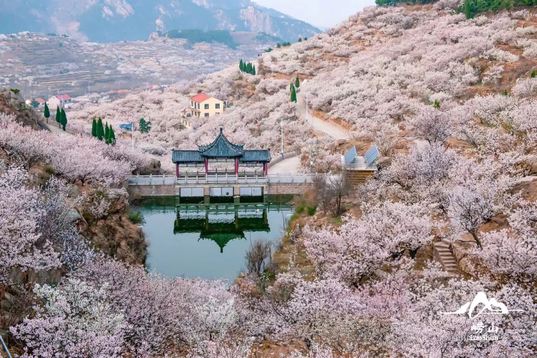 青岛北宅景点图片