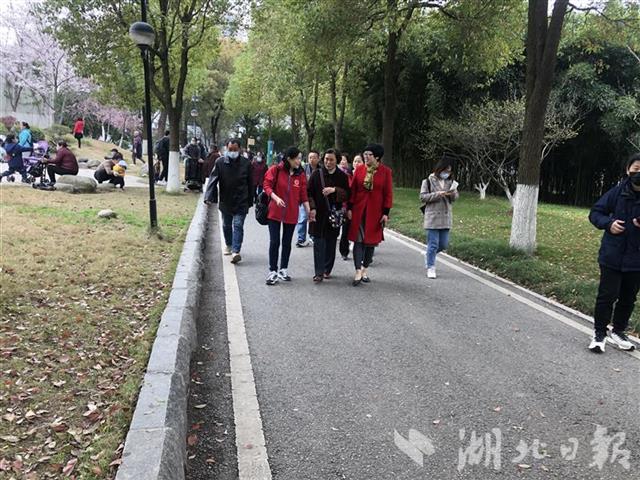 “欢迎你们回江岸见故人”