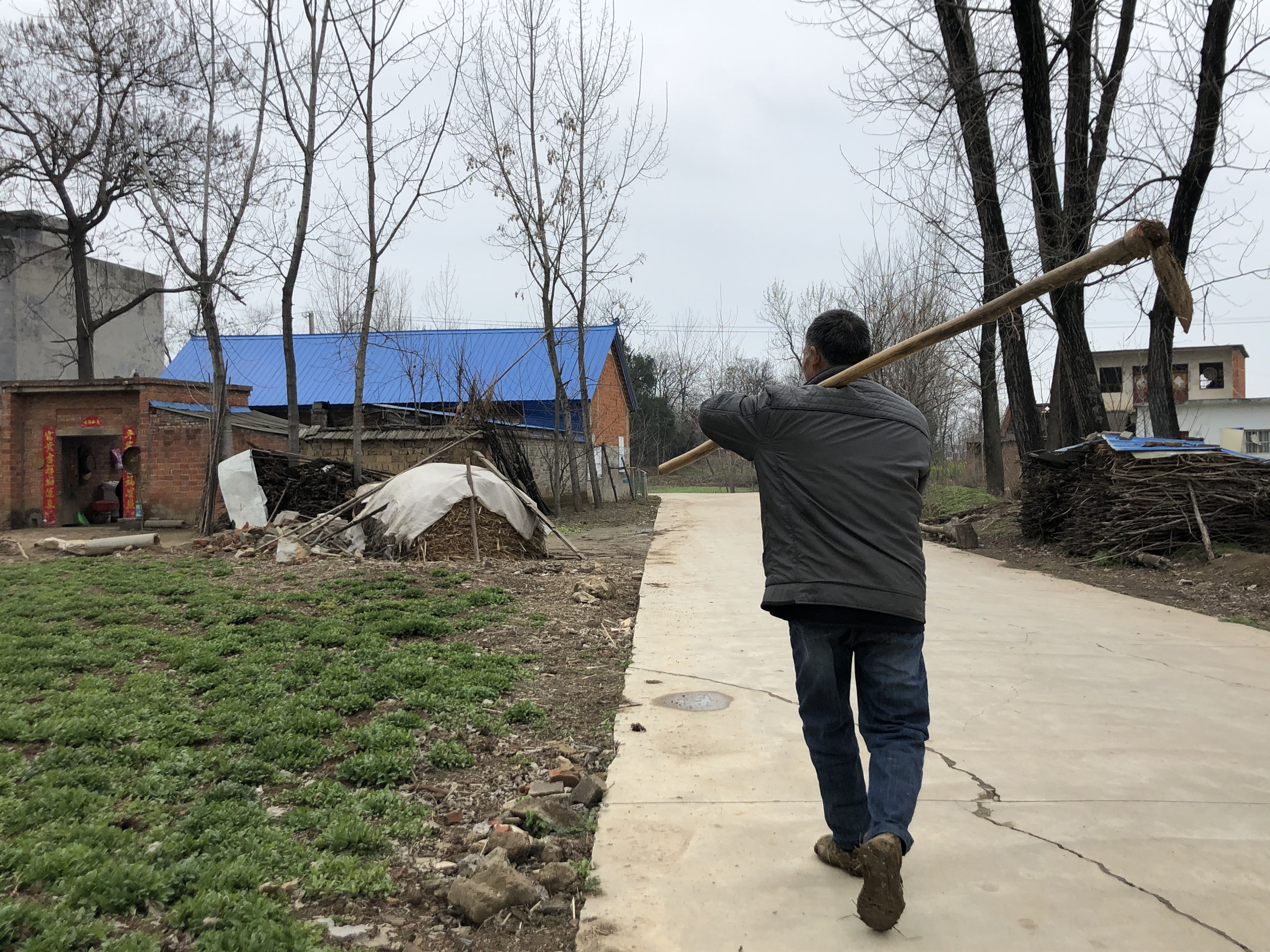3月9日中午，姚修书种完杨树苗，妻子喊他回家吃饭。新京报记者 杜寒三 摄