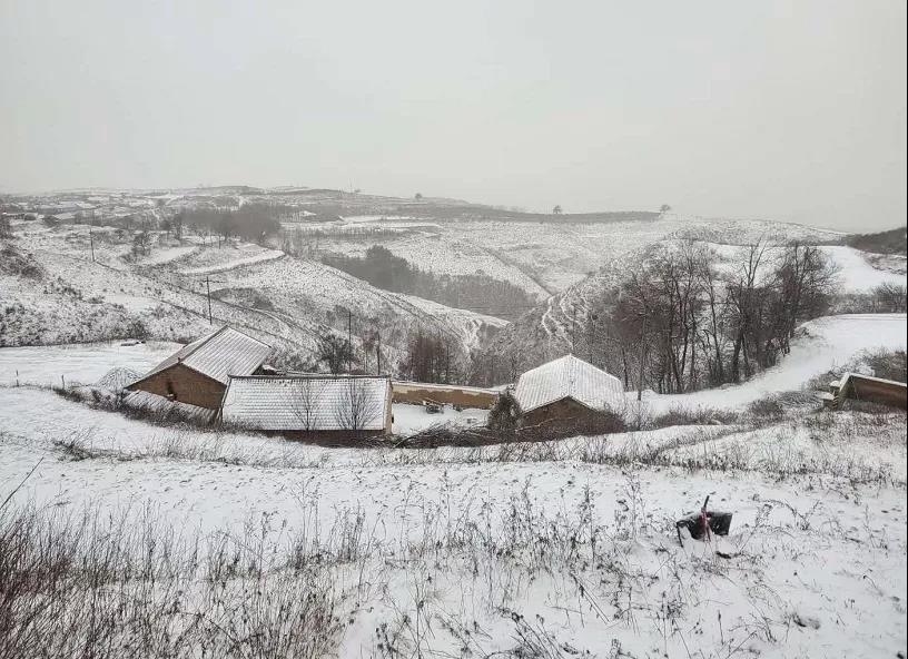 平凉下起桃花雪！未来几天……