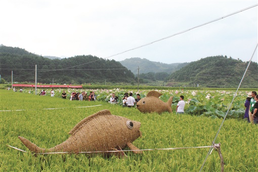 2018年辰溪县第二届稻花鱼文化节上,展示在景区里的陈卓琳的稻草工艺