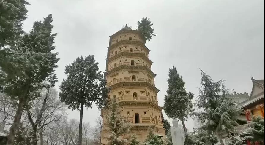 平凉下起桃花雪！未来几天……