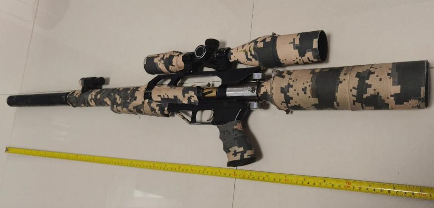 用气枪打鸟打村干部耳光益阳3名男子被行拘