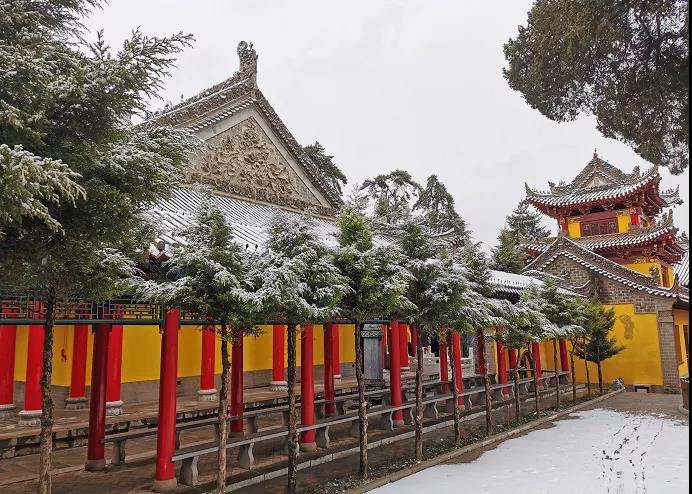 平凉下起桃花雪！未来几天……