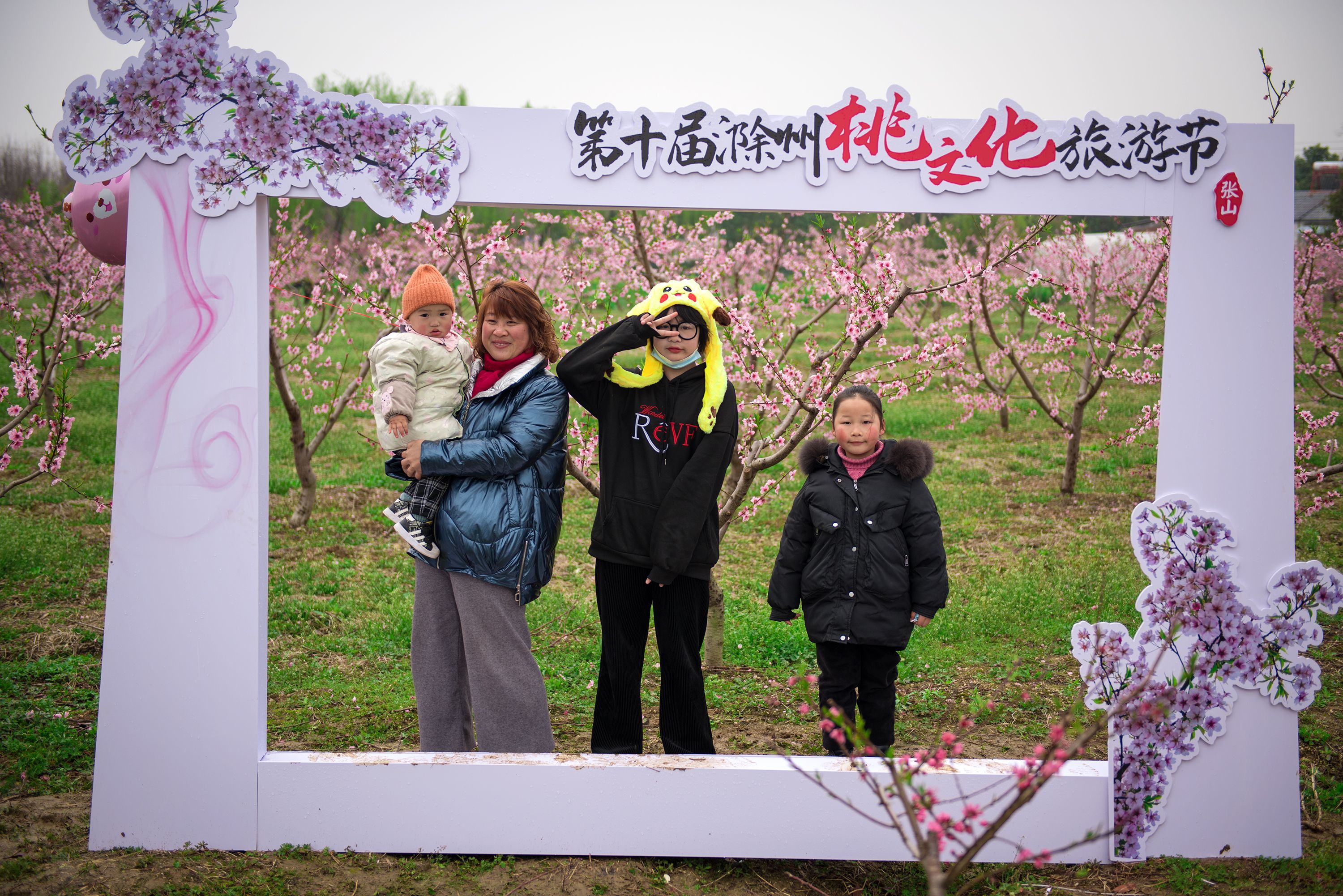 滁州来安:万亩桃花开 游人踏春来