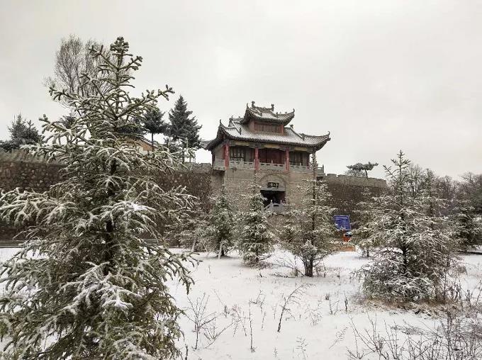 平凉下起桃花雪！未来几天……