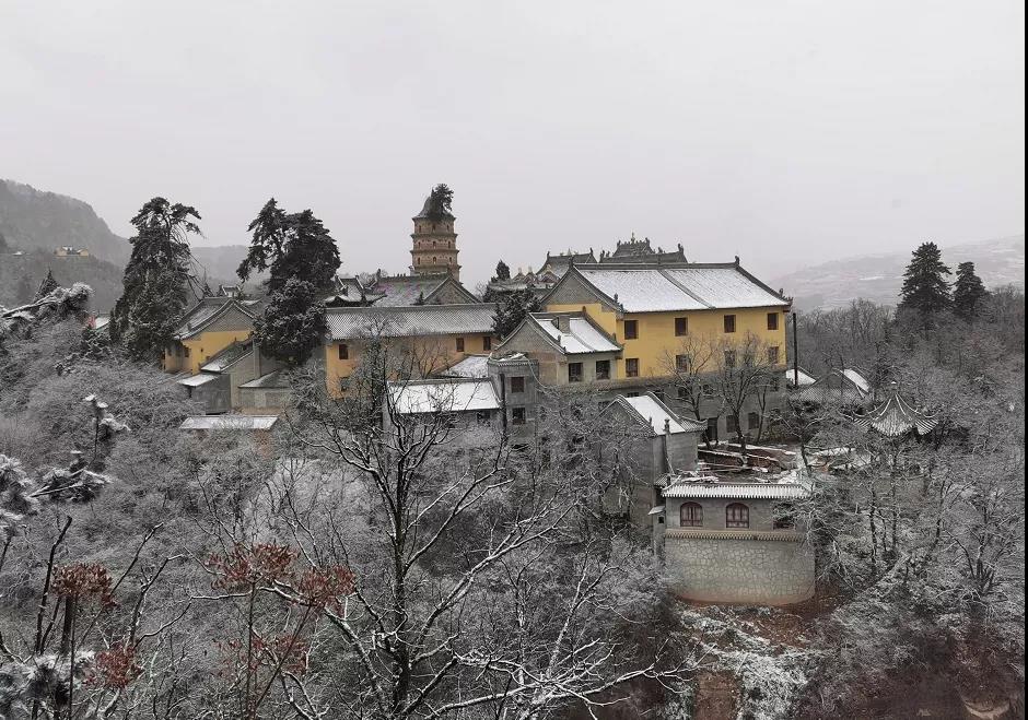 平凉下起桃花雪！未来几天……