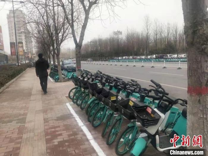 登记挂牌再“上岗”的共享电动车。　杨佩佩 摄