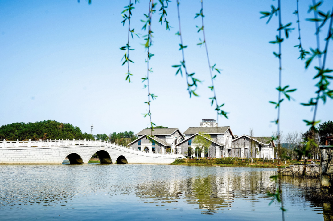 ▲ 图为初春时节的长沙县金井镇石壁湖，湖面如镜，杨柳依依，雅致的民居依水而建，别具一格