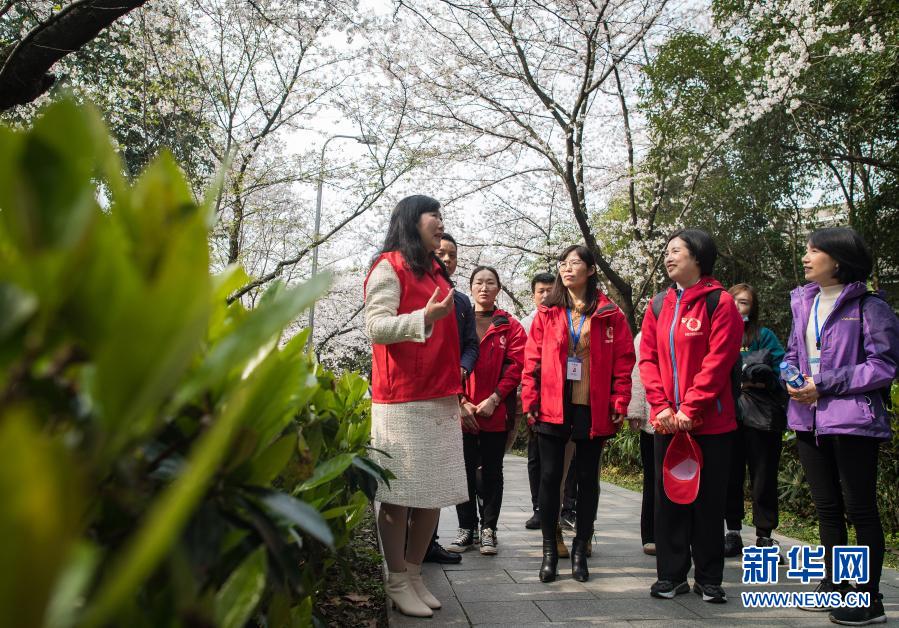 3月13日，武汉大学志愿者为安徽援鄂医疗队员介绍武汉大学历史。新华社记者 肖艺九 摄
