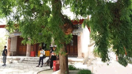 深山藏古寺 杜甫曾在这块宝地赋诗