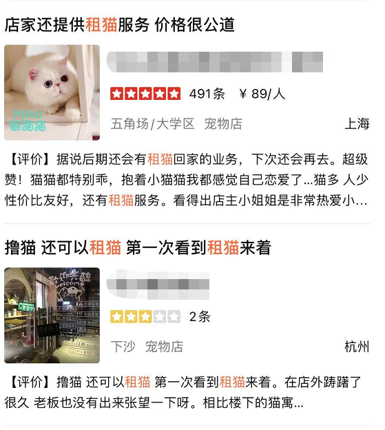 猫生不自由 宠物打工中