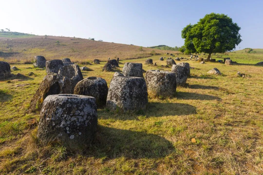 © Image by Peter Stuckings/Shutterstock