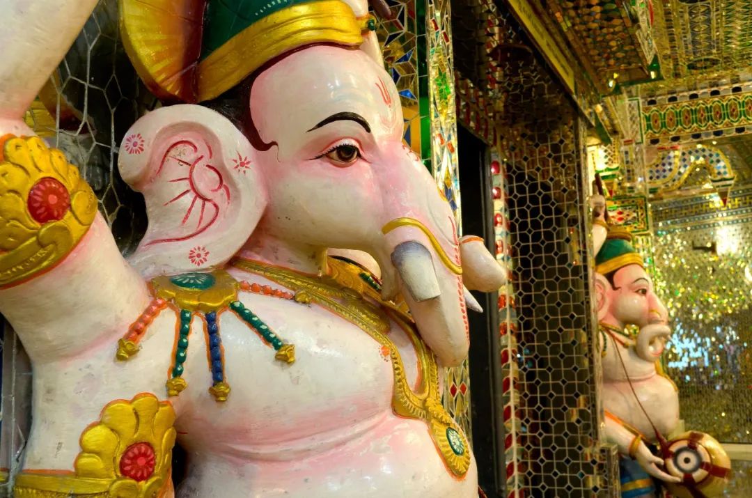© Image by Kiratsinh Jadeja/Getty Images