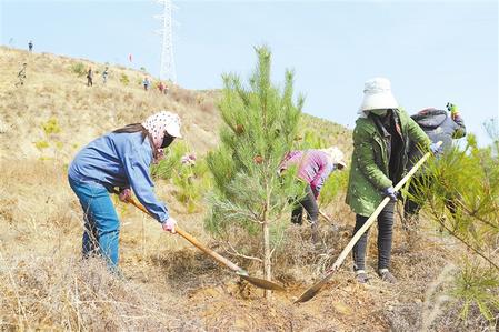 清水县组织广大干部群众开展植树造林 新甘肃&middot;甘肃日报 通讯员 王勇