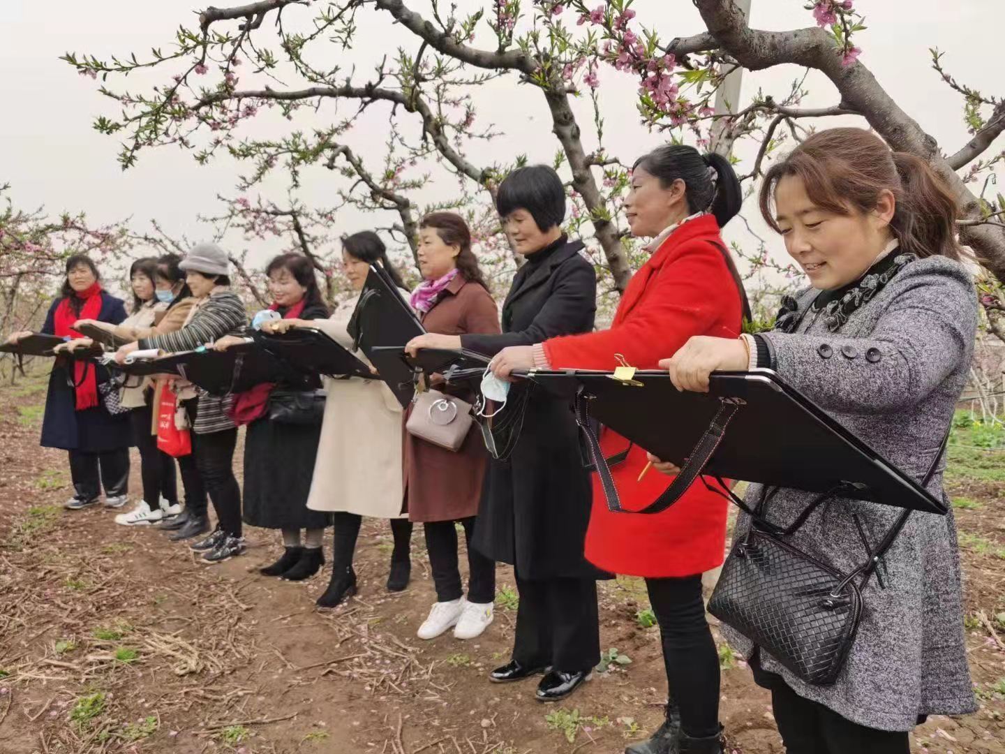 第三届西安鄠邑&middot;柳泉桃花节开幕