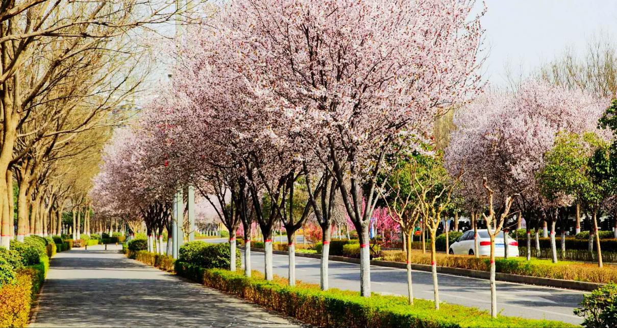 西安航空基地城市景观