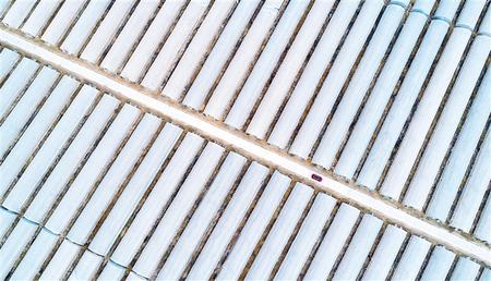 高台县南华镇建起千亩生态戈壁农业示范园