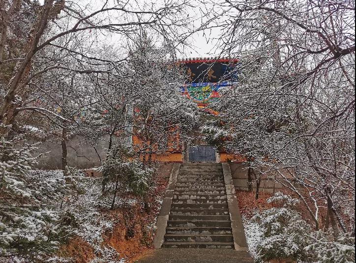 平凉下起桃花雪！未来几天……