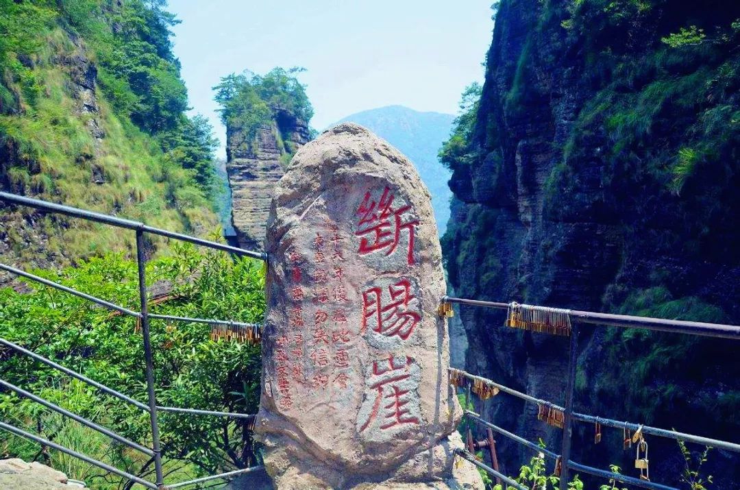 浙南最不容错过的自驾线路，包揽世界级山海景观，还藏了个“最美桃花源”！