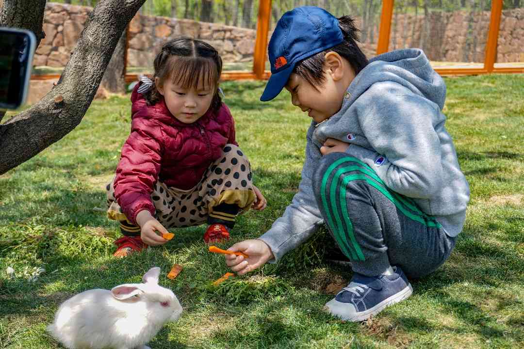新密伏羲山:云上牧场升级 打造一站式“网红打卡地”