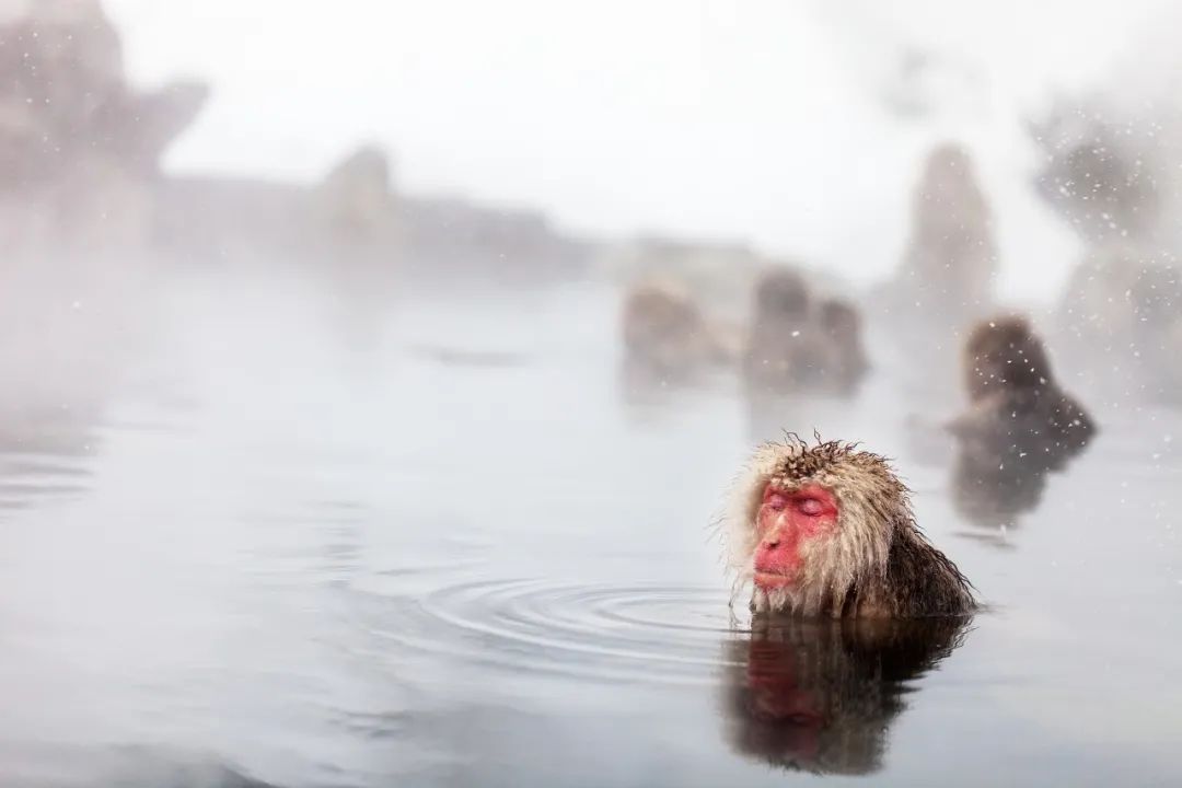 © Image by BlueOrange Studio/Shutterstock