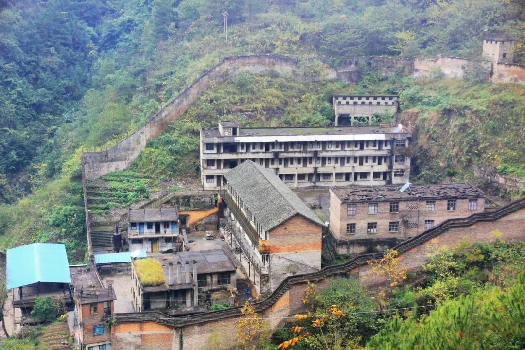 由图虫提供
