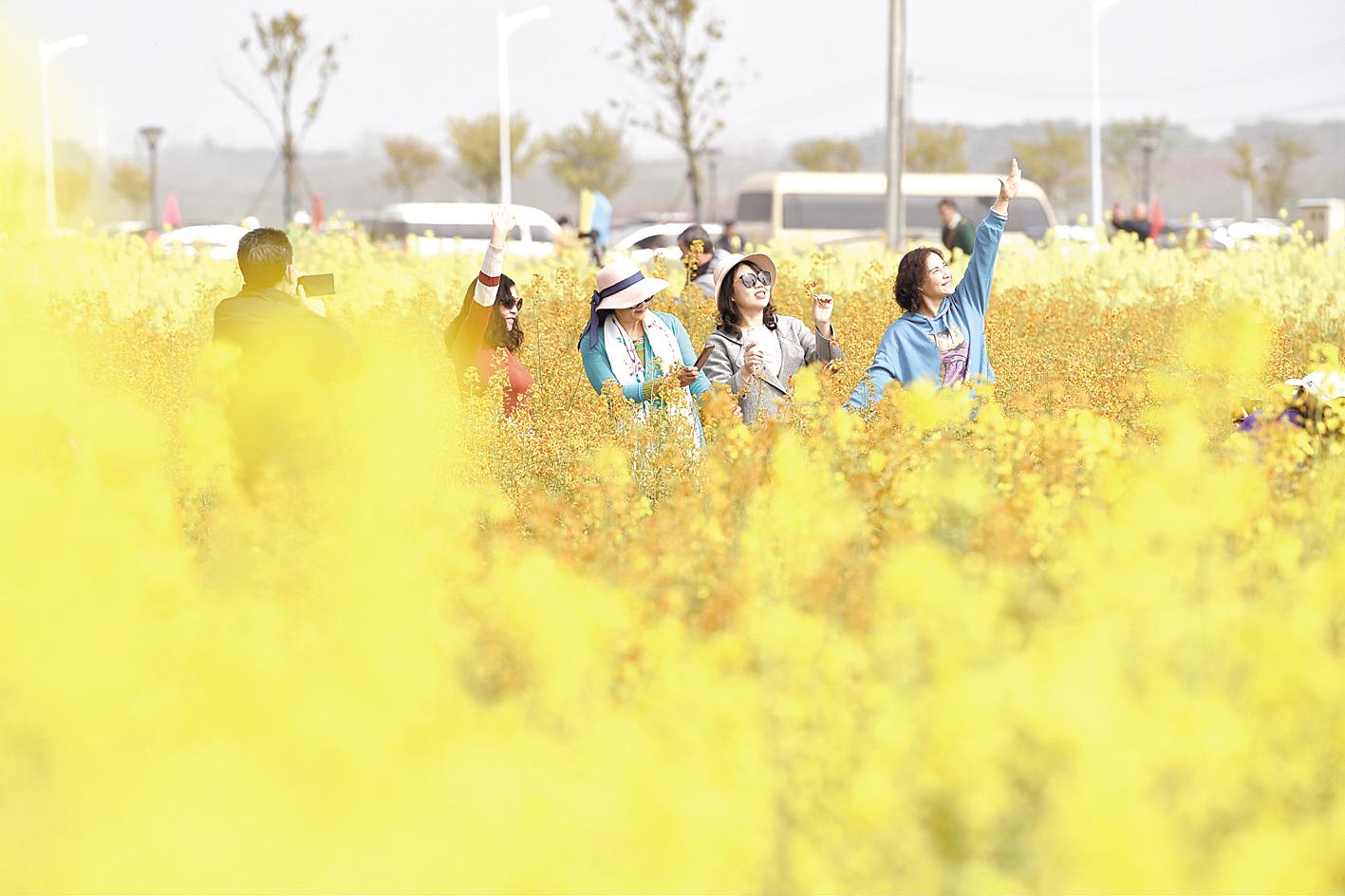 3月12日，游客在武汉市江夏区五里界街观赏特色油菜花。 （湖北日报全媒记者 李溪 实习生 周锦婷 摄）
