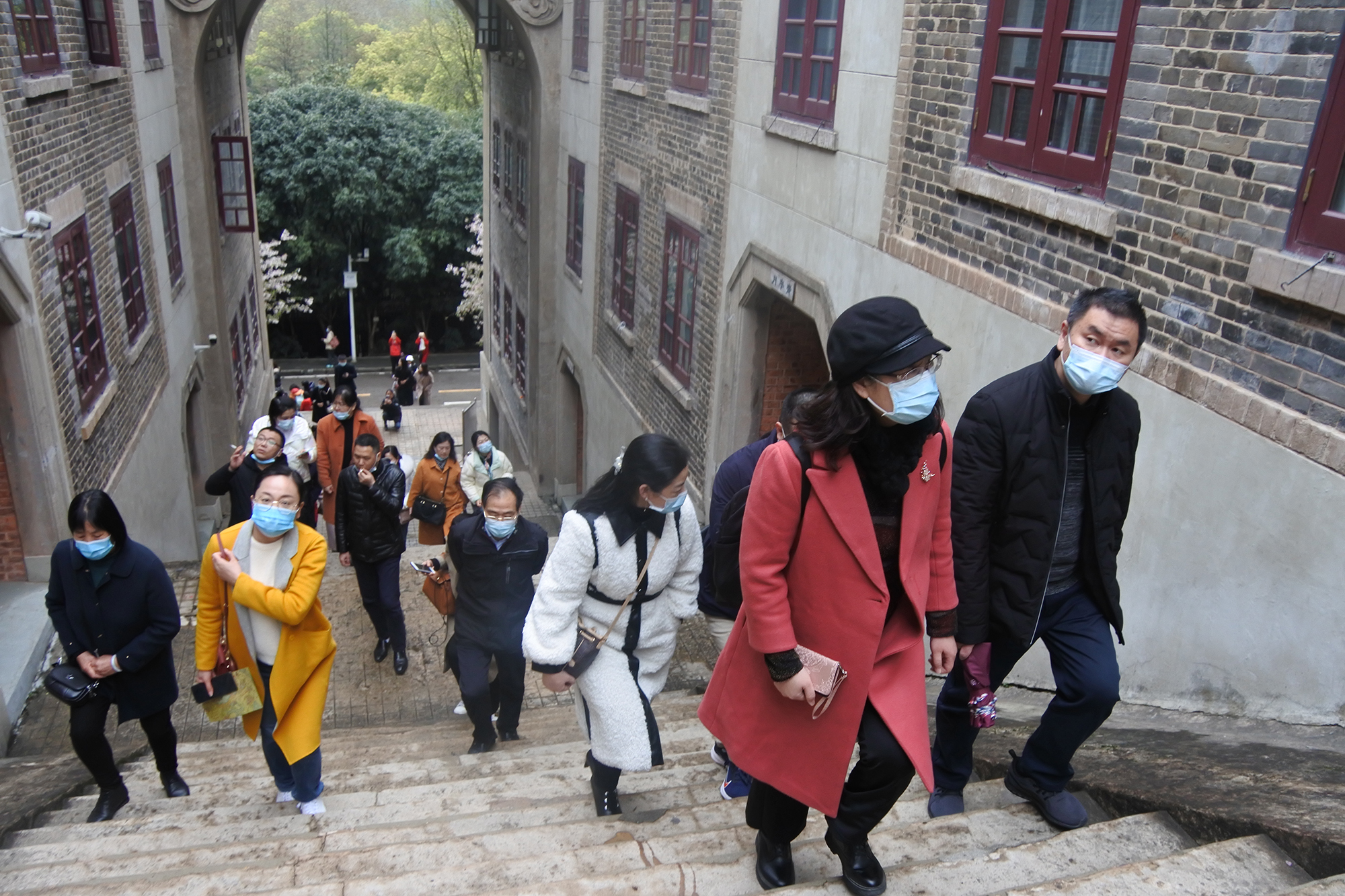 百年高校樱花盛！中华路街组织区人大代表、政协委员走进武汉大学