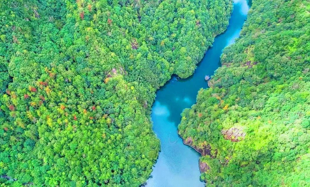 浙南最不容错过的自驾线路，包揽世界级山海景观，还藏了个“最美桃花源”！