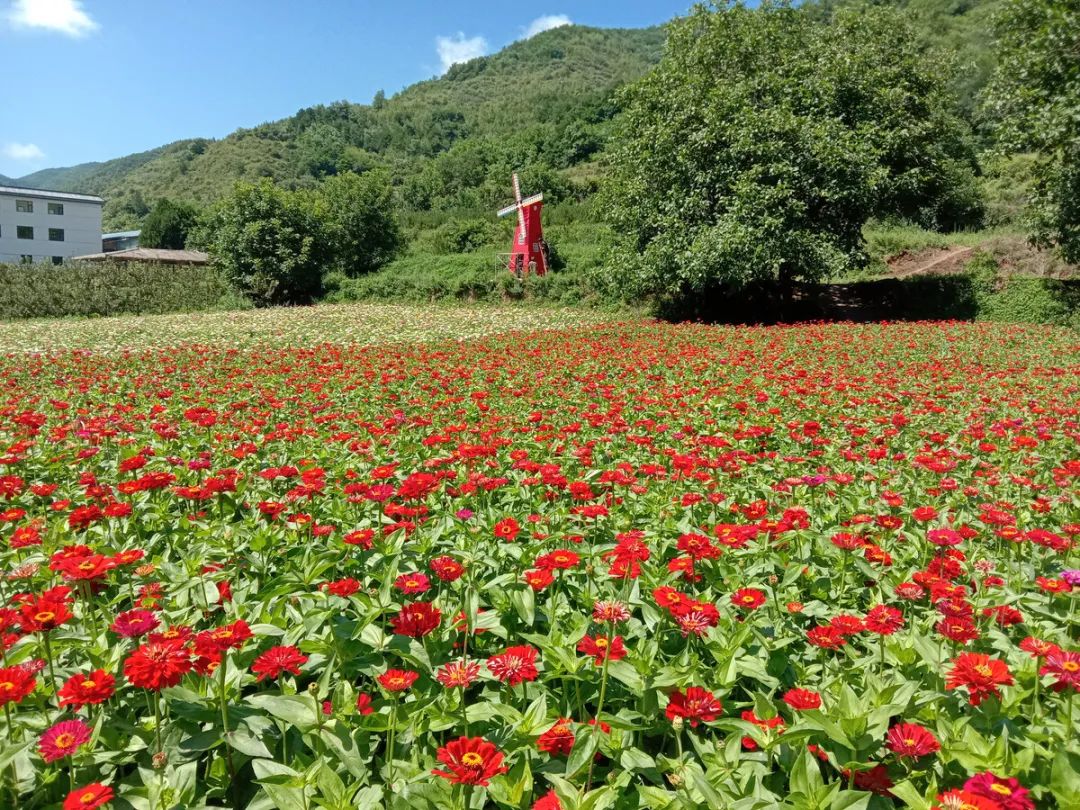 天水甘泉镇峡门村