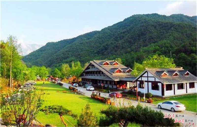 陇南康县花桥村