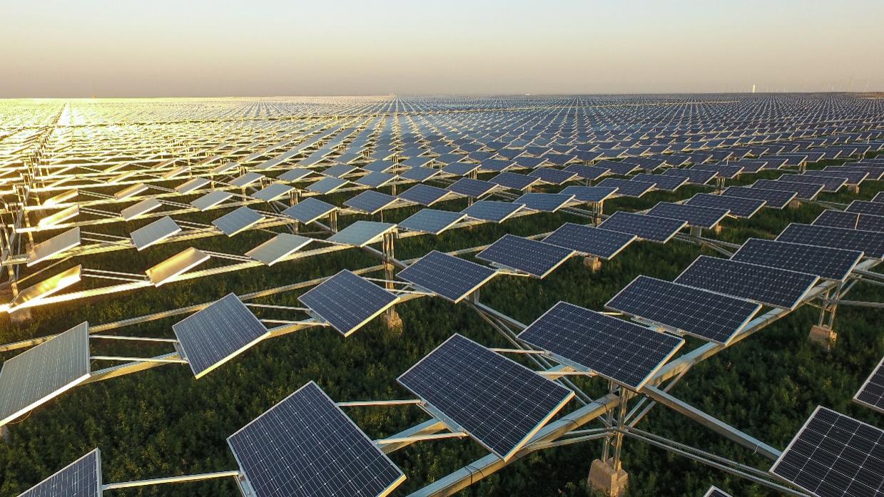 探访全球最大农光互补电站华为智能光伏助力累计减少碳排放200万吨