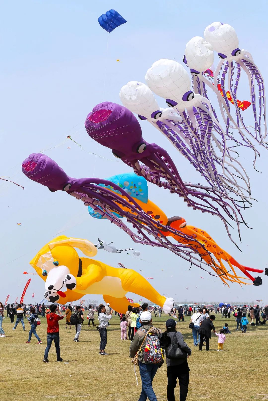 第八届国际风筝会在大明宫惊艳启幕。