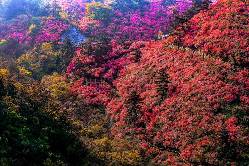 黄陂木兰云雾山