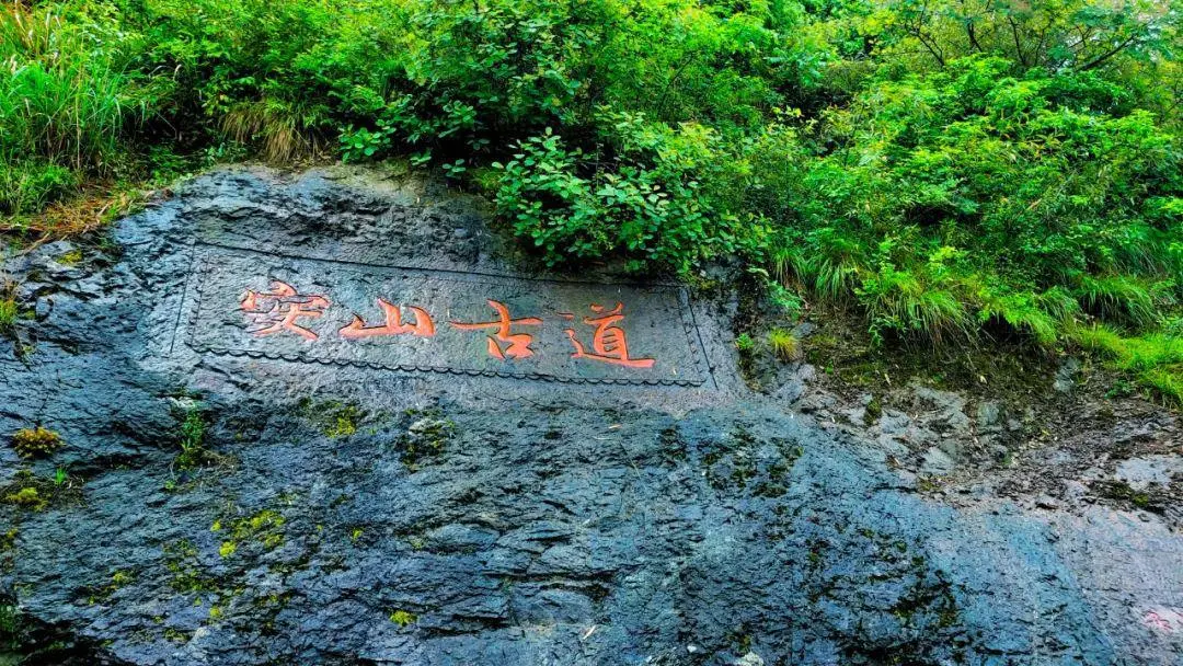 徒步绍兴古道，邂逅“足尖上的春天”