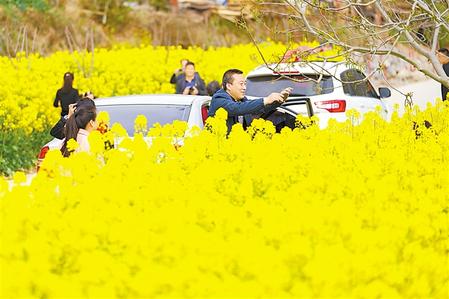 暖风吹醒花千树快来一览田野之春 凤凰网