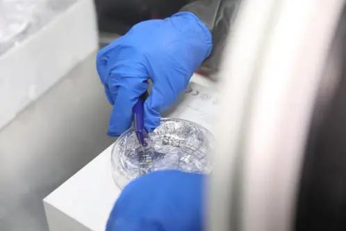 科研人员在实验室制备钙钛矿光伏材料