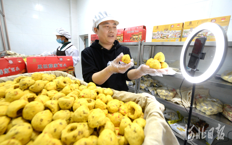 近日，位于河北省大城县的廊坊市远扬实业有限公司黄金塔食品分公司员工通过网络直播销售产品。河北日报记者杜柏桦摄影报道