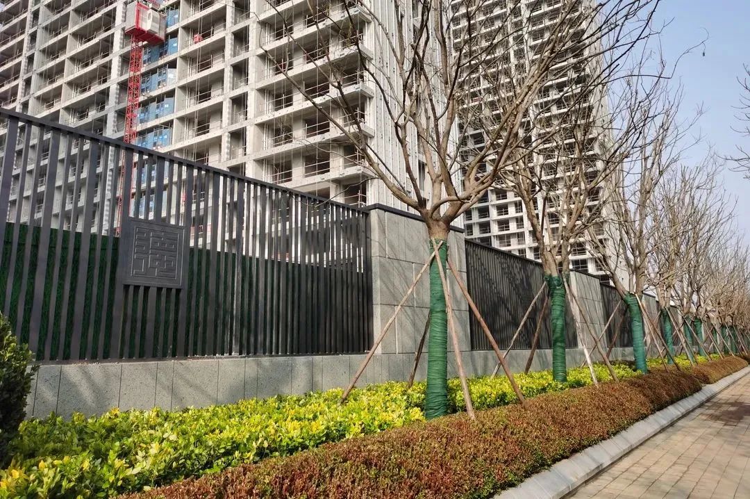 崇德园实景图园区东围墙植物种类丰富,不惜时间和昂贵的经济成本,从