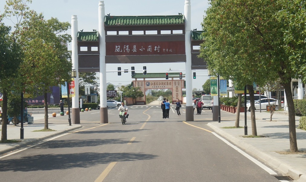 凤阳县小岗村