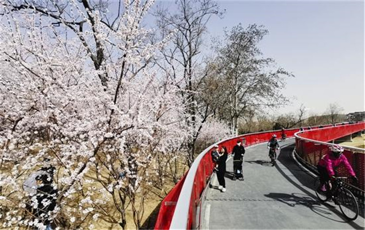 唐山：市民感受盎然春意