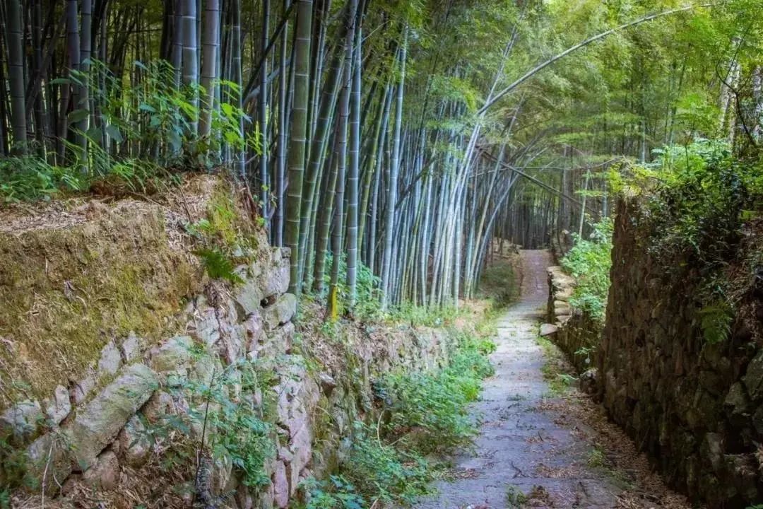 徒步绍兴古道，邂逅“足尖上的春天”