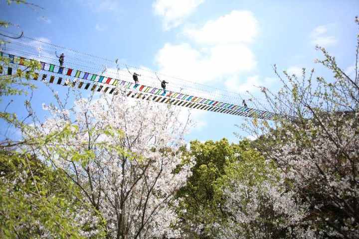 IMG_8025(20210326-145744).JPG