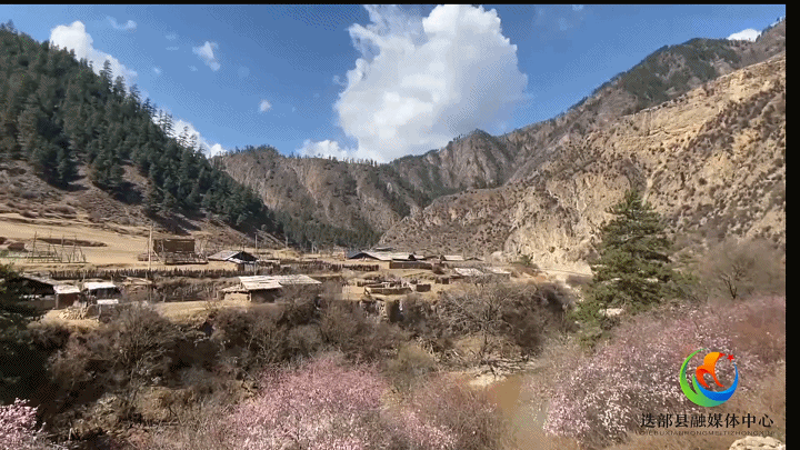 一起“浪”迭部!达拉俄界红色文化邂逅藏家风情