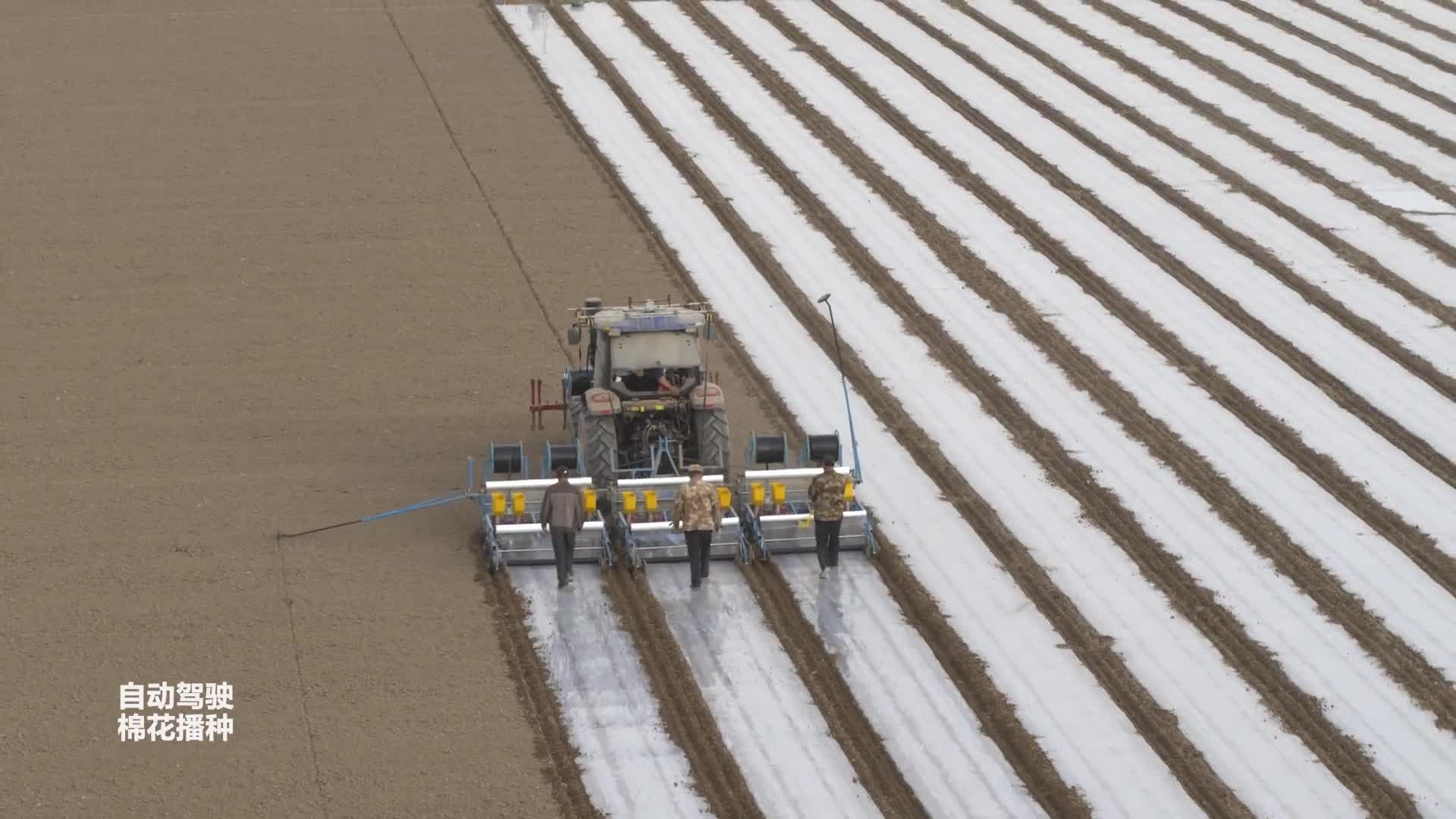 新疆棉花生产中应用无人机