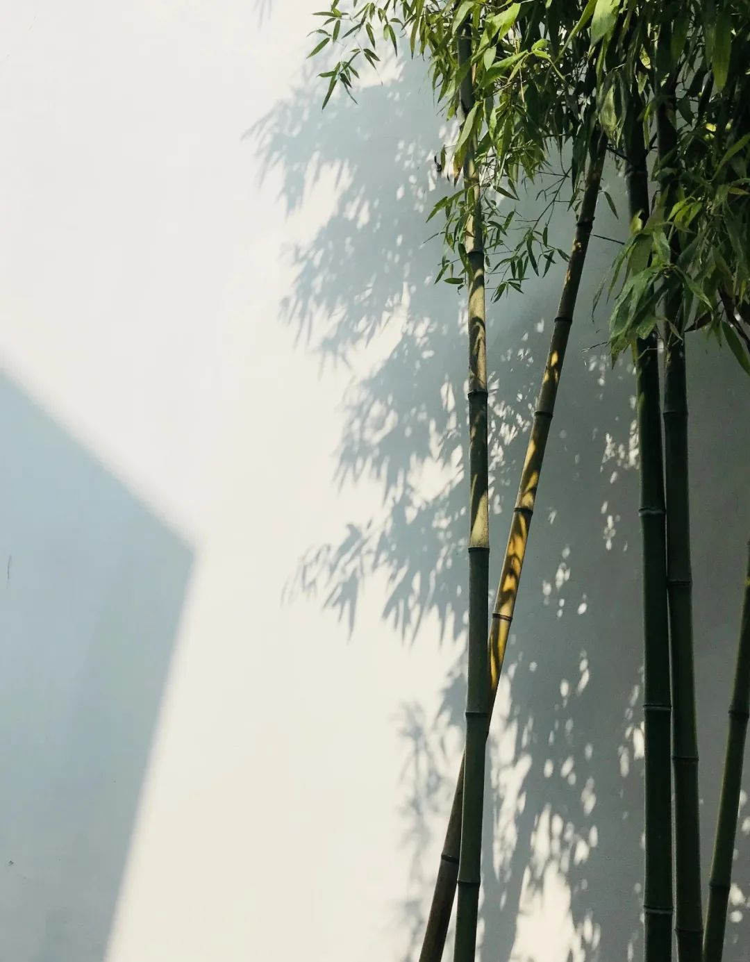 赔我一个苏州，赔我一个姑苏城！